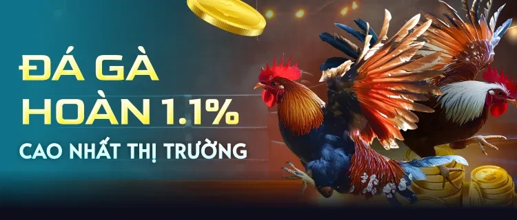 GA88 Hoàn trả đá gà 1.1%