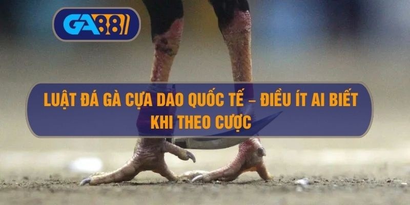 GA88 Luật đá gà cựa dao quốc tế – Điều ít ai biết khi theo cược