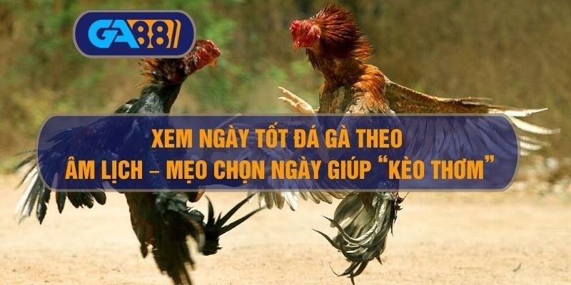 GA88 Xem ngày tốt đá gà theo âm lịch – Mẹo chọn ngày giúp “kèo thơm”