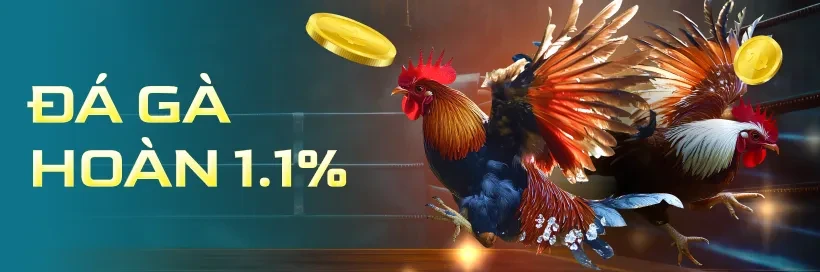GA88 Chơi Đá Gà, Nhận Hoàn Trả 1.1%