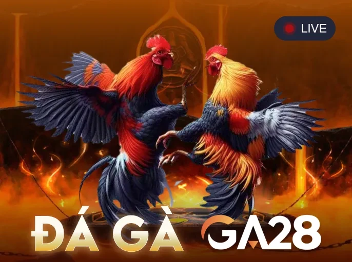 GA88 Đá Gà GA28
