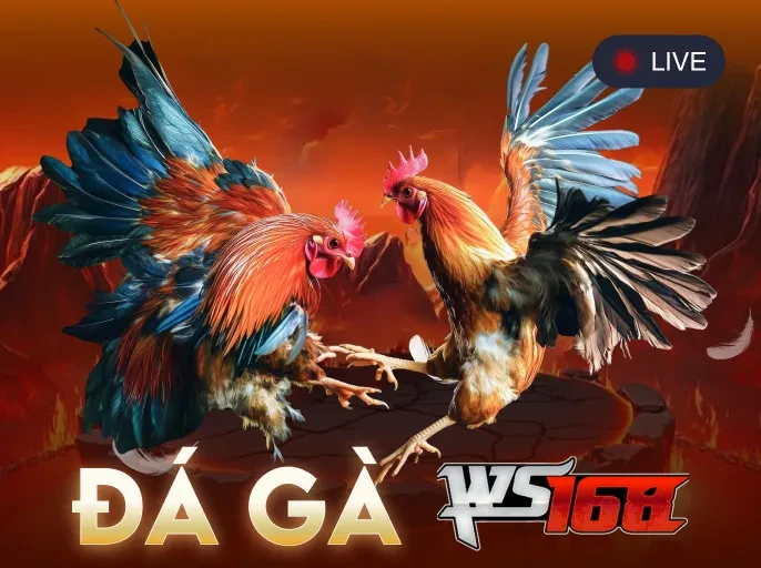 GA88 Đá Gà WS168