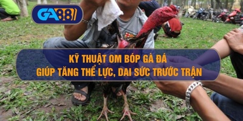 GA88 Kỹ thuật om bóp gà đá giúp tăng thể lực, dai sức trước trận