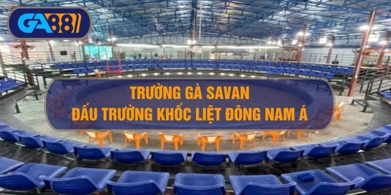 GA88 Trường gà Savan ở đâu? Khám phá đấu trường khốc liệt